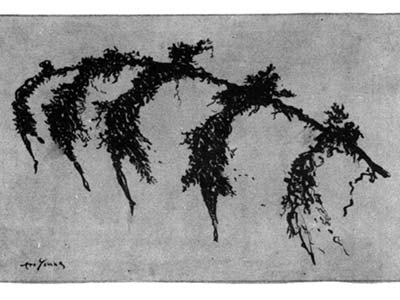 Soulfelt Expressions Dance Photo Gallery - Description